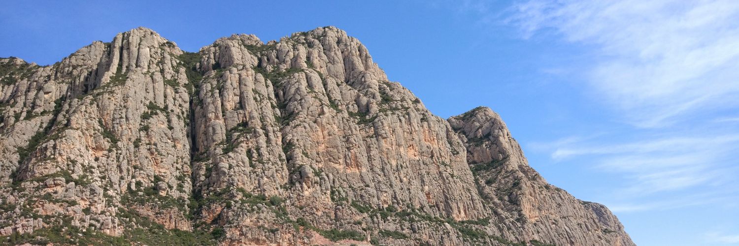 xecapo's profile banner image