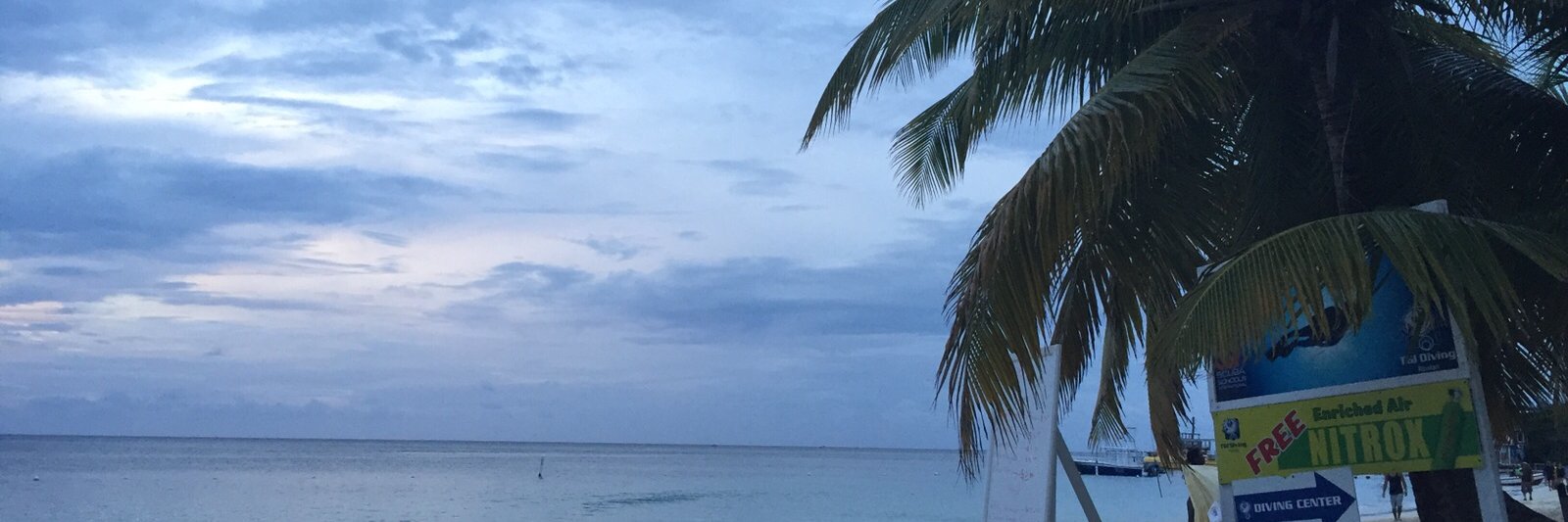EstradaLi32's profile banner image