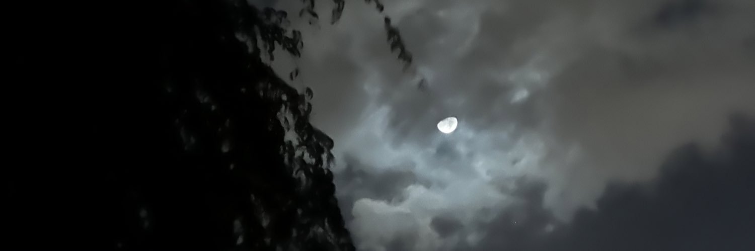 fatmma1ala's profile banner image