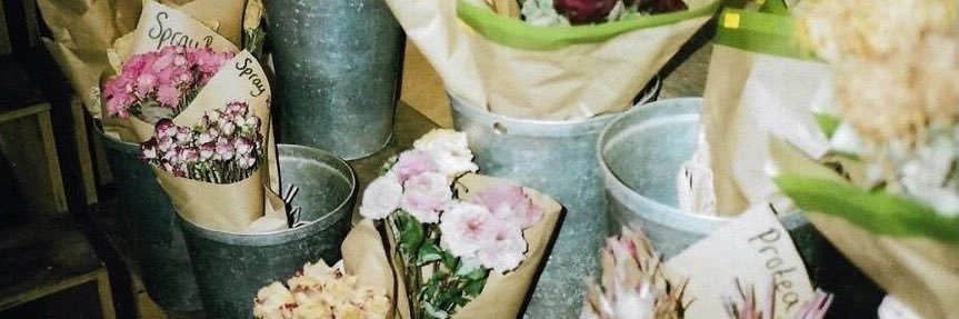 𝓐͟𝙸͟𝚁͟𝙰͟. banner