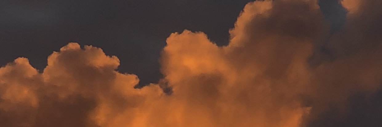 Carolbd_'s profile banner image