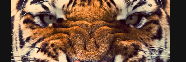 iam_George01's profile banner image