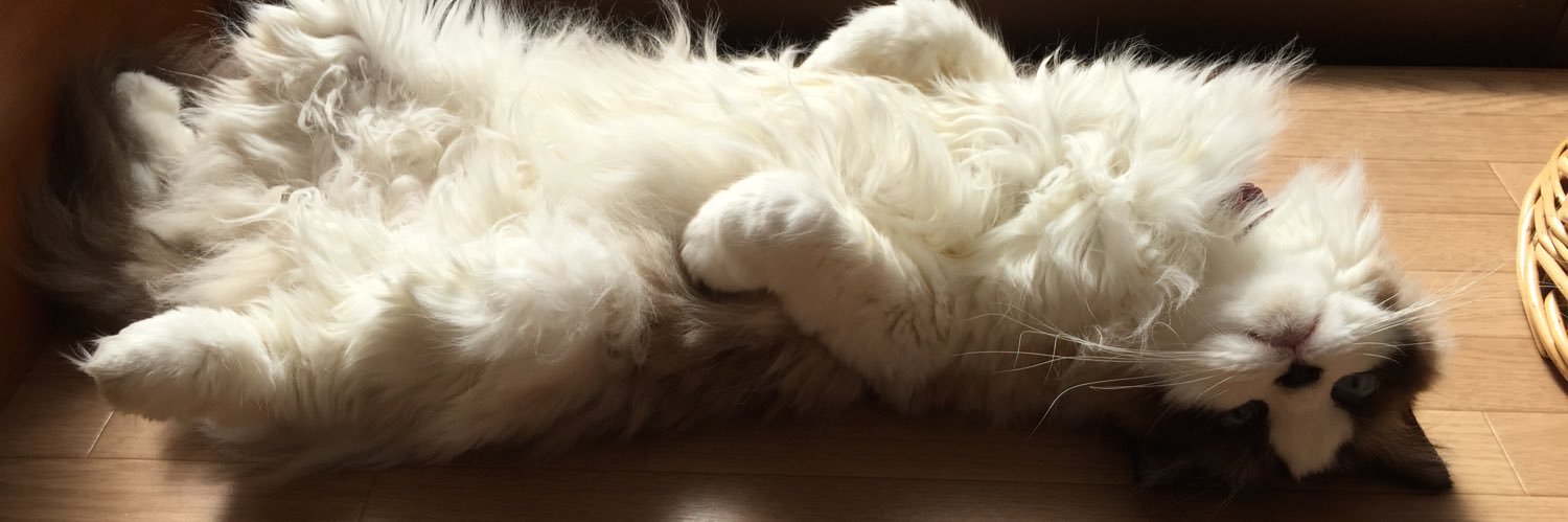 すみっこ🌗 banner