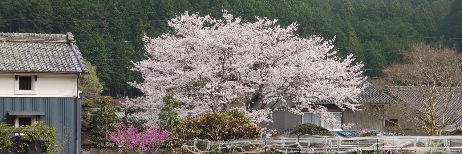 flower5780's profile banner image