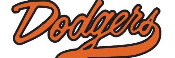 Dodgeville Diamond Club banner