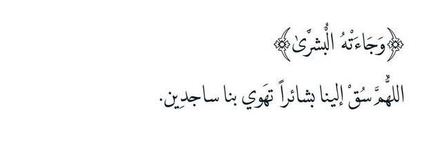 مَ|٢٦. banner
