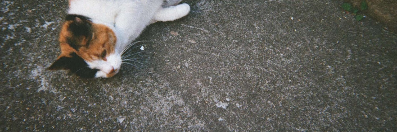 0_rrbsl's profile banner image
