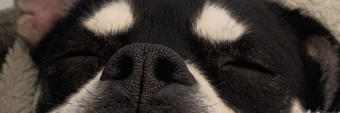 kinxsley's profile banner image