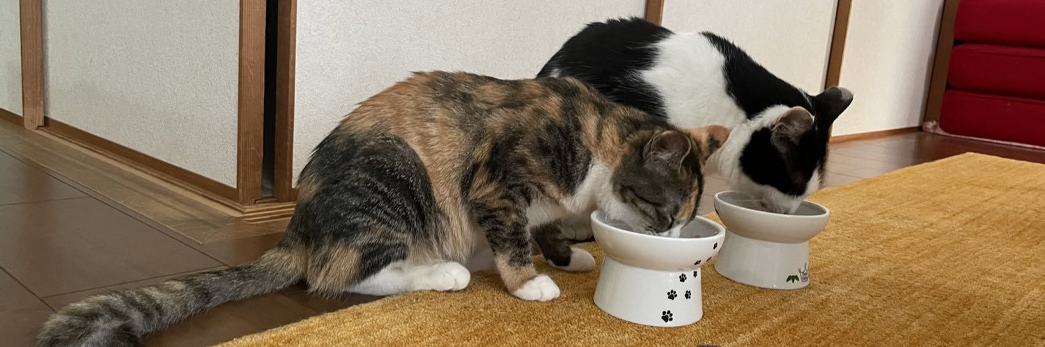MelmoTheCat's profile banner image