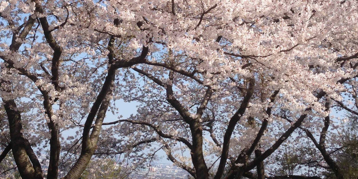 uranchango's profile banner image