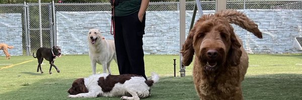 MSIV12 Profile Banner