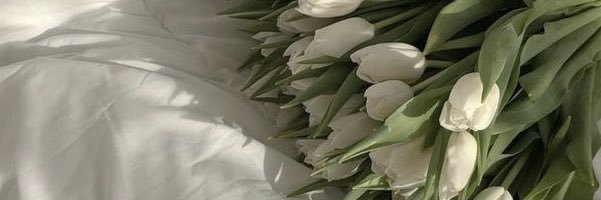llynnners's profile banner image