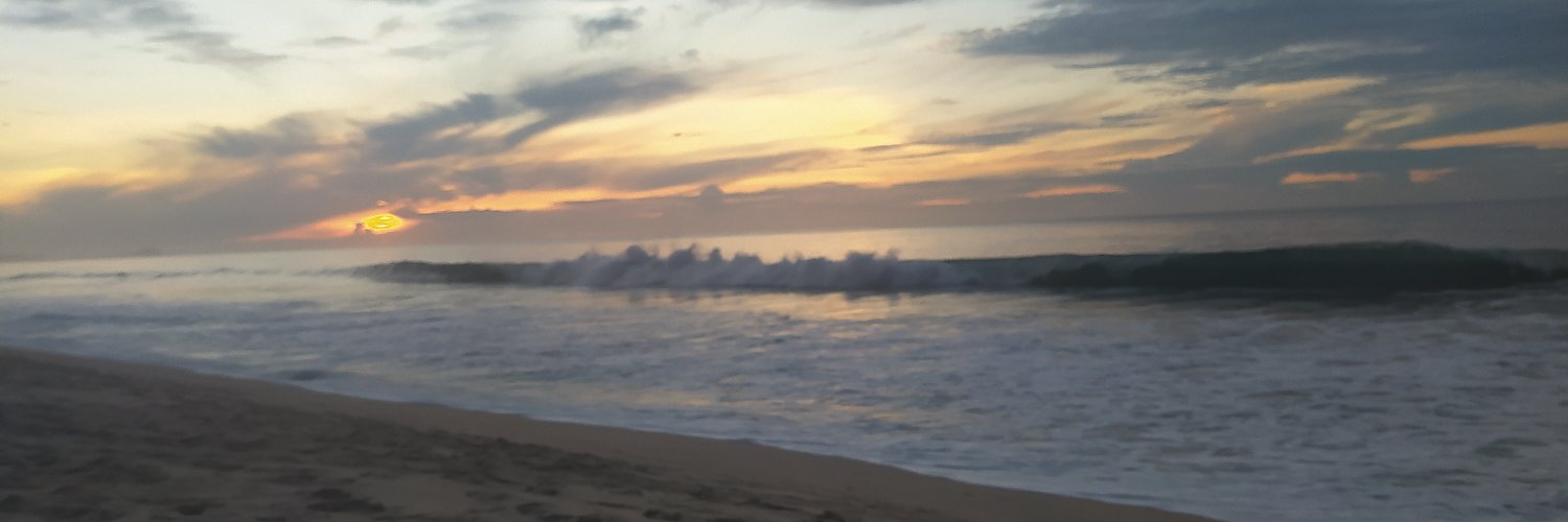 ricardo_celis's profile banner image