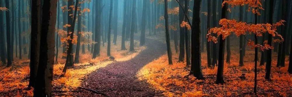 Reliant Scimitar banner