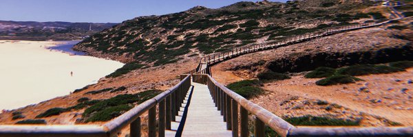 vcavalcante__ Profile Banner