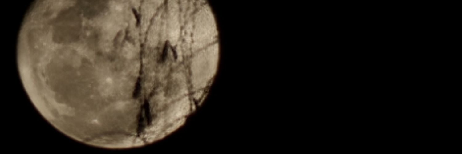 Boy02Shota's profile banner image