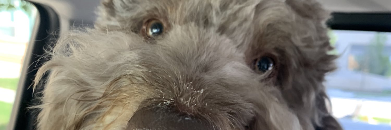 Evan_Beck_'s profile banner image