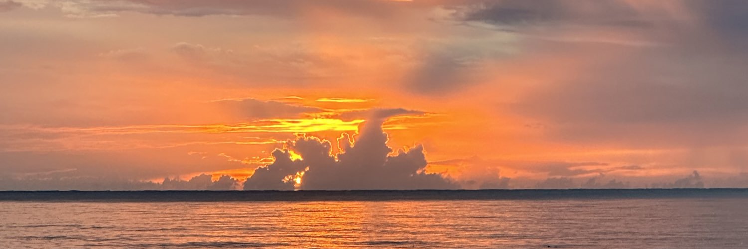 angxlys's profile banner image