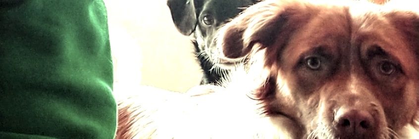 duffpaulin's profile banner image