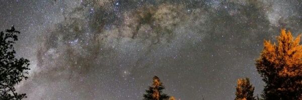 naticampos43's profile banner image