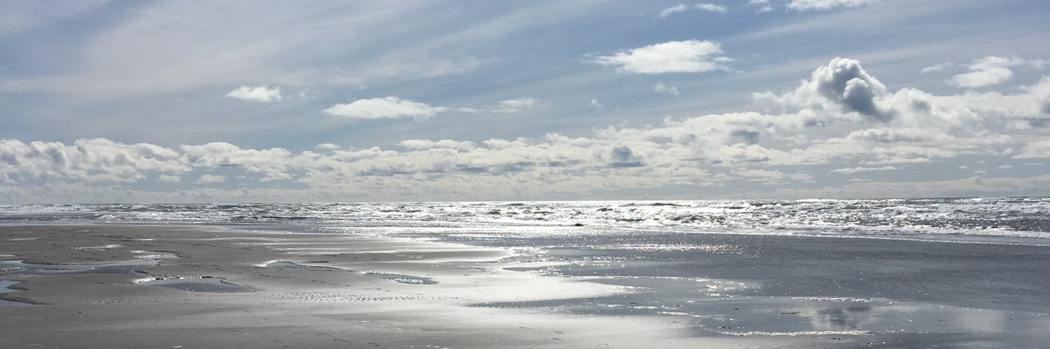 Emily Dunston, PhD, MS banner