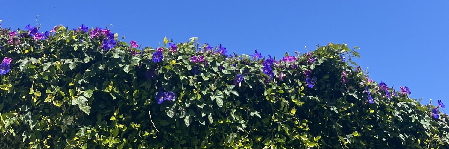 nbernstien's profile banner image