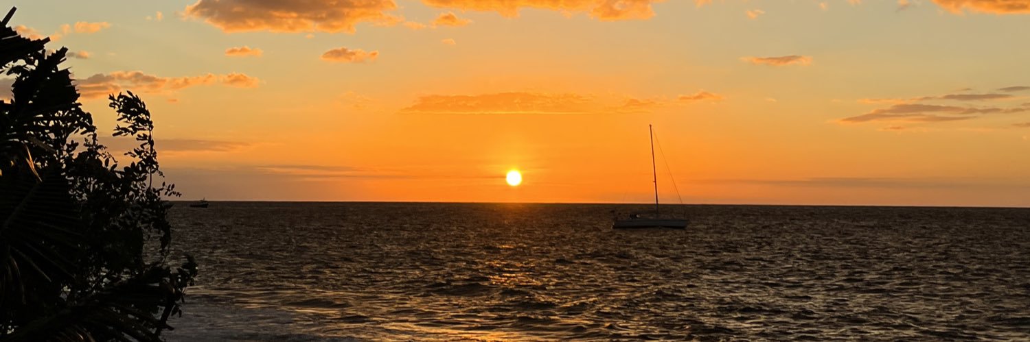 flexidiana's profile banner image