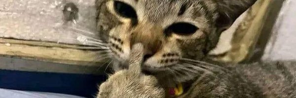 famyyyyyyy Profile Banner