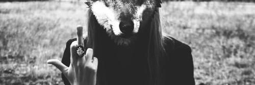 _ndzln's profile banner image