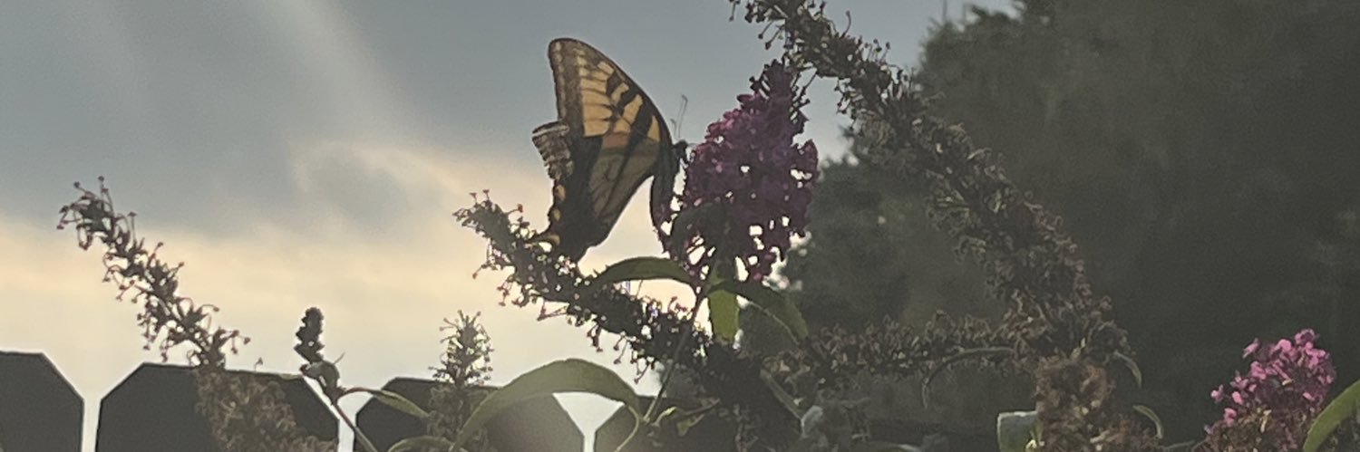 alawt_'s profile banner image