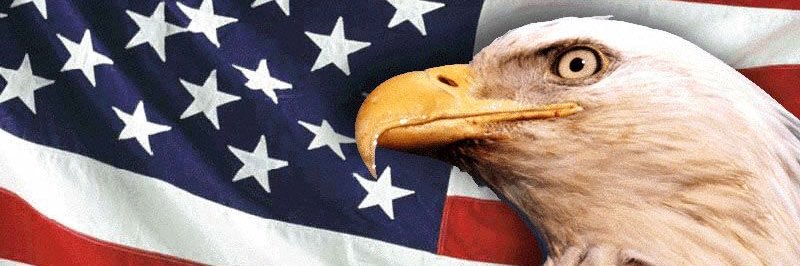 Dad of Five in the 805 banner