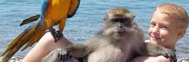 Simon Marshall banner