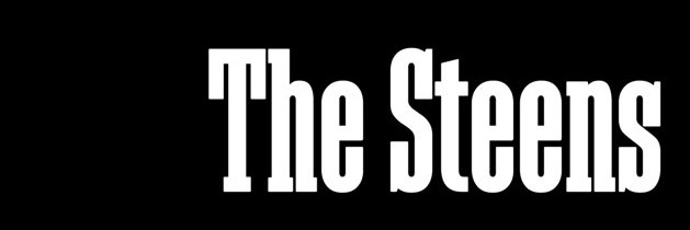 thesteensx's profile banner image
