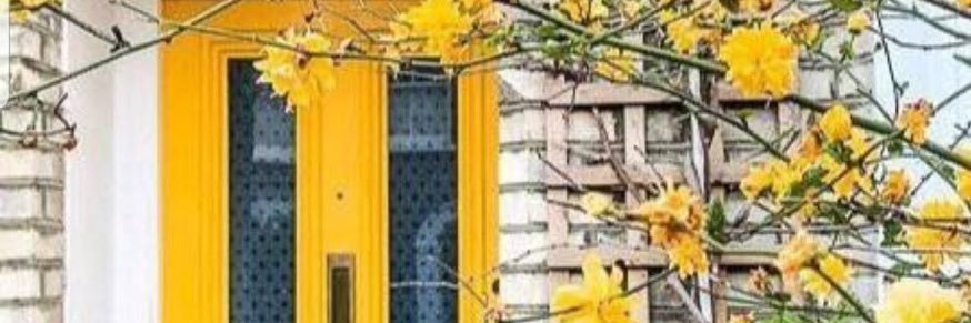 Saad Alshammri banner