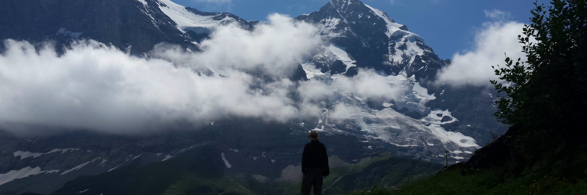 Michael Walker banner