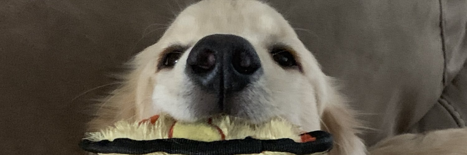 bsewell2's profile banner image