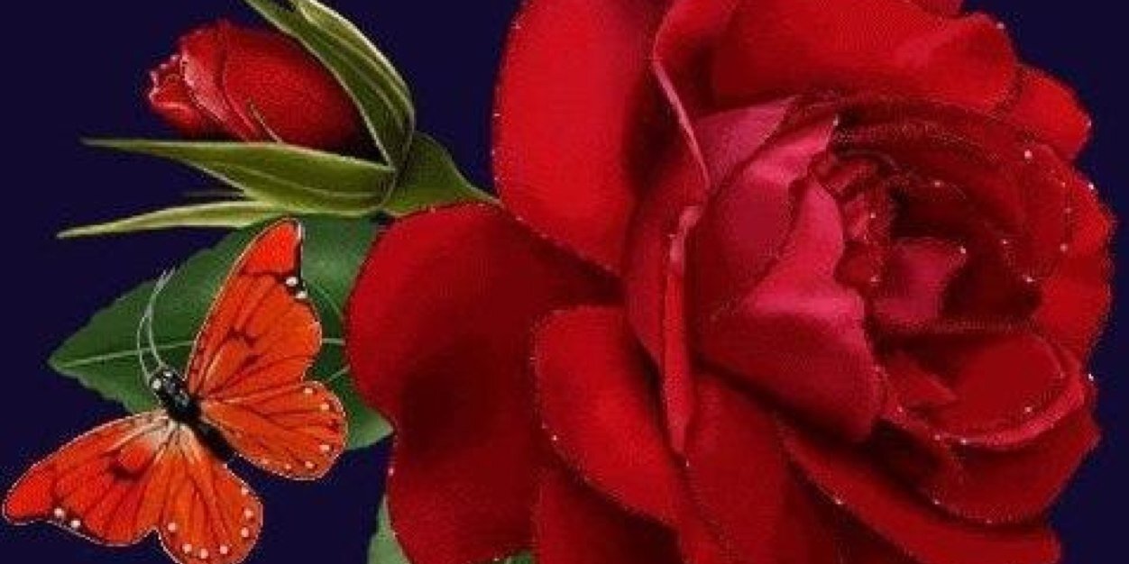 yousifzin2010's profile banner image