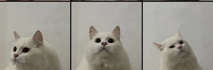 rdarchiveee's profile banner image