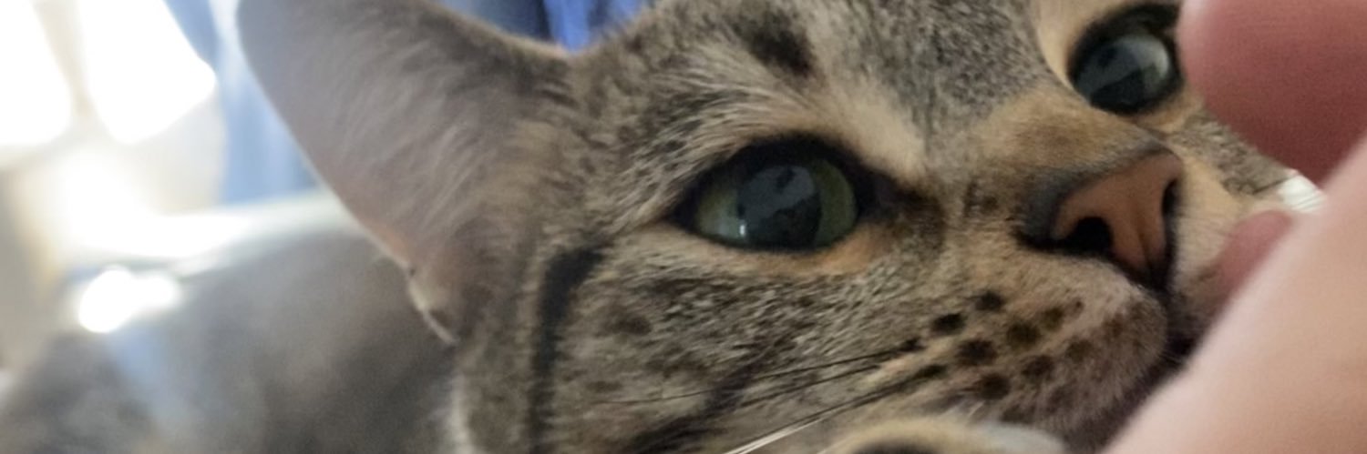 NatallyHuerta's profile banner image