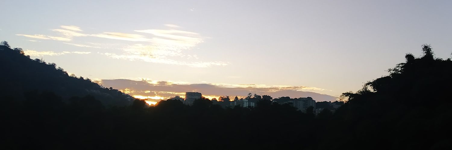Liduinita_B's profile banner image