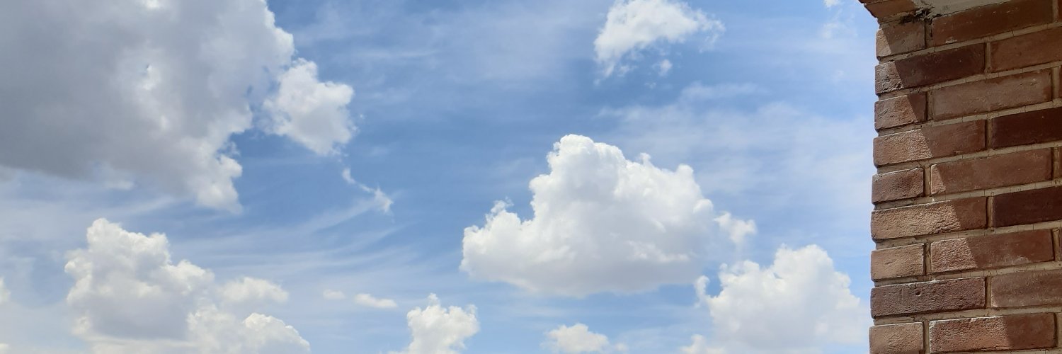 طیبه حاتمی's banner