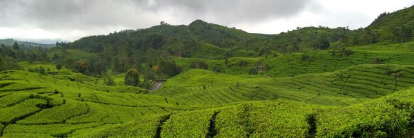 henmenara Profile Banner