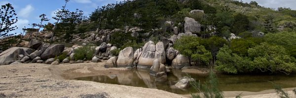 tham_lab Profile Banner