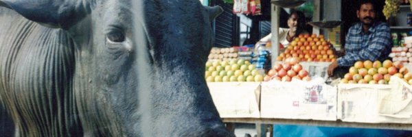 AnnePBeatty Profile Banner