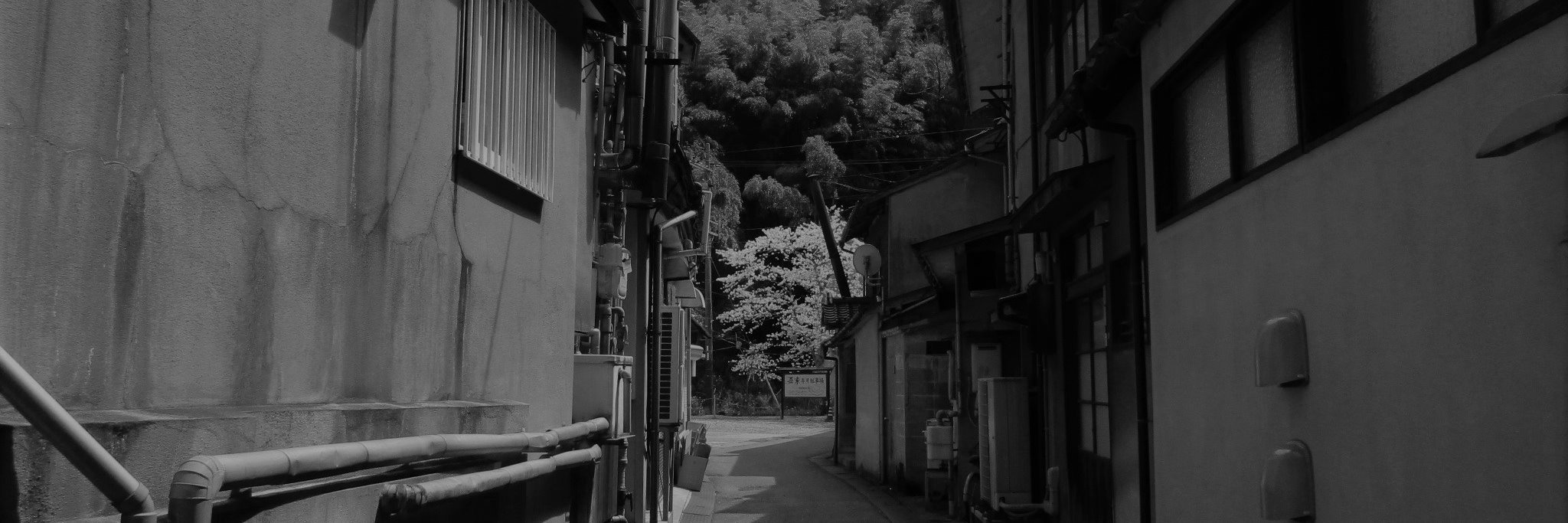 ichiman0803's profile banner image