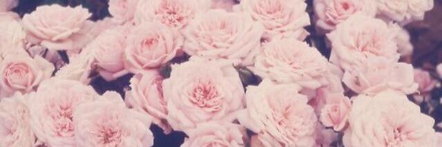 AnnaDwane's profile banner image