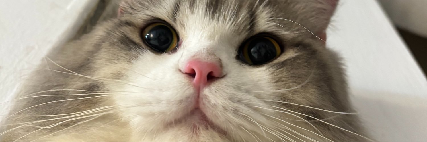 _urbbyin's profile banner image