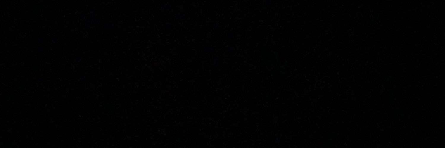 raqueldsilvaa's profile banner image