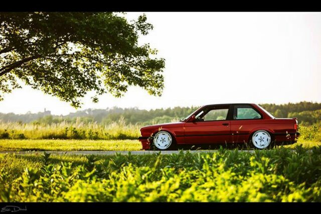 Cat_69106's profile banner image