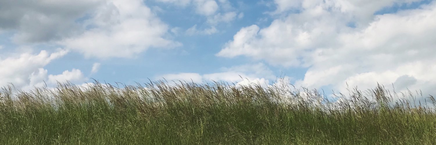 bwpons's profile banner image